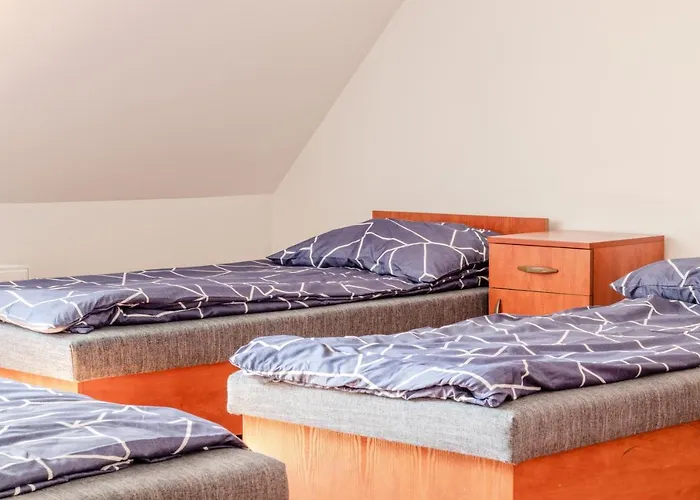 Osrodek Szkoleniowo - Noclegowy Chojnik 旅馆