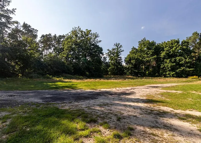 Osrodek Szkoleniowo - Noclegowy Chojnik 旅馆 Sosnie